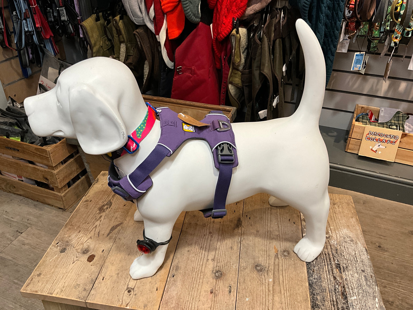 Ruffwear, Front Range Dog Harness, Purple Sage