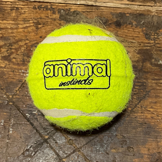 Animal Instincts, Tennis Ball